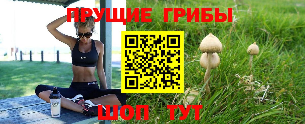 где продают наркотики  Галлюциногенные грибы MAGIC MUSHROOMS  Вход с VPN  Горно-Алтайск 