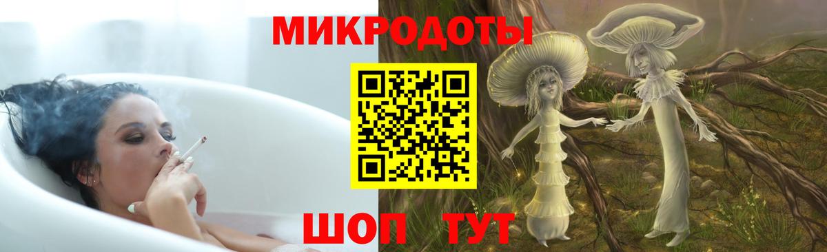 Псилоцибиновые грибы мицелий Горно-Алтайск